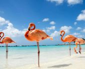 ЕКСКЛУЗИВНИ ОТСТЪПКИ - Почивка на о.Джерба, Тунис със самолет от София - 7 нощувки!